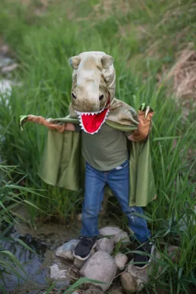 Grandasaurus T-Rex Cape Size 7-8