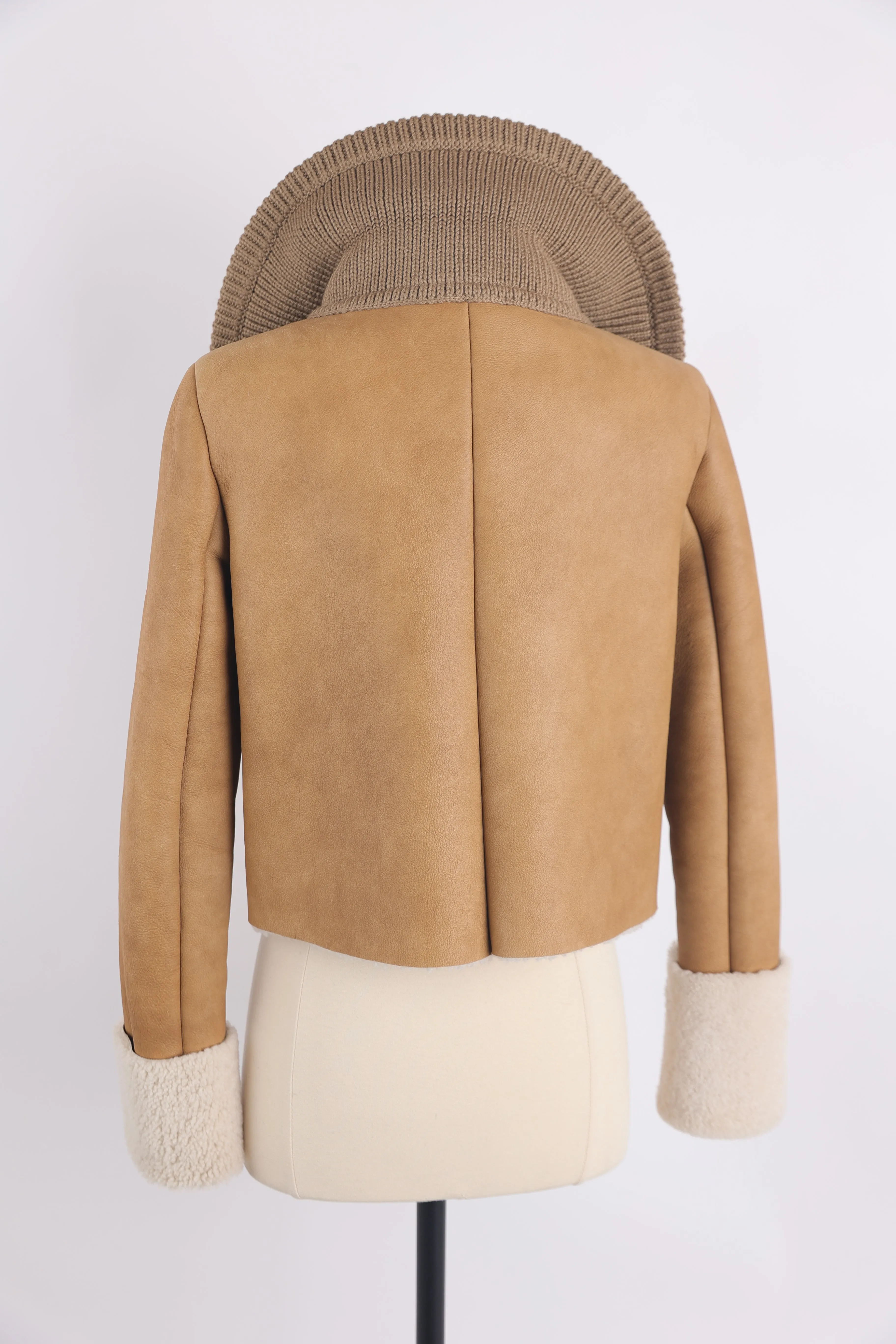 Leather Shearling Jacket W/ Mink Fur Collar